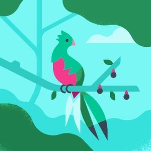 Meet your Posher, Super_nova